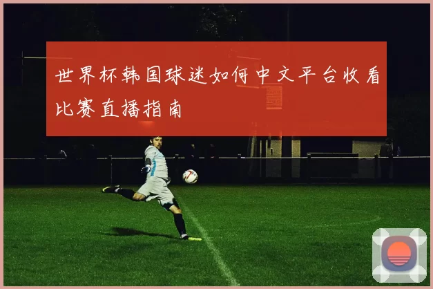 世界杯韩国球迷如何中文平台收看比赛直播指南