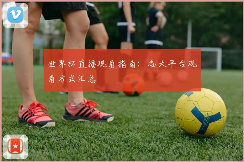 世界杯直播观看指南:各大平台观看方式汇总