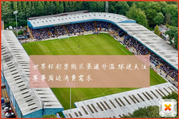 世界杯彩票购买渠道升温 球迷关注赛事周边消费需求
